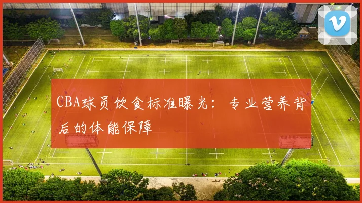 CBA球员饮食标准曝光：专业营养背后的体能保障