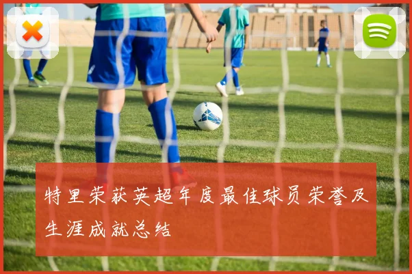 特里荣获英超年度最佳球员荣誉及生涯成就总结