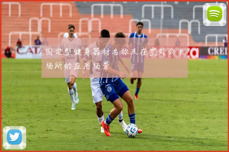 固定型健身器材名称及在室外公共场所的应用场景