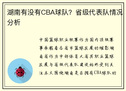 湖南有没有CBA球队？省级代表队情况分析